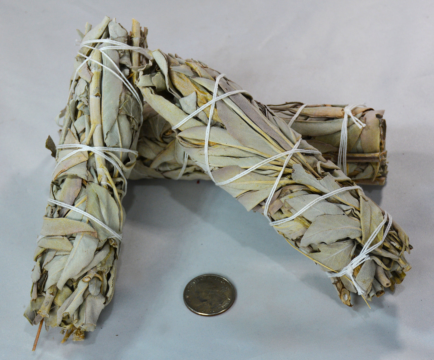 Medium White Sage Smudge Stick - California Incense All Tribes Treasures