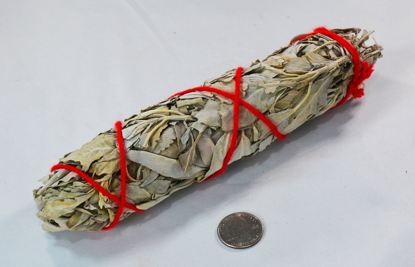 White Sage Smudge Stick Bundled with Red Cotton Yarn All Tribes Treasures
