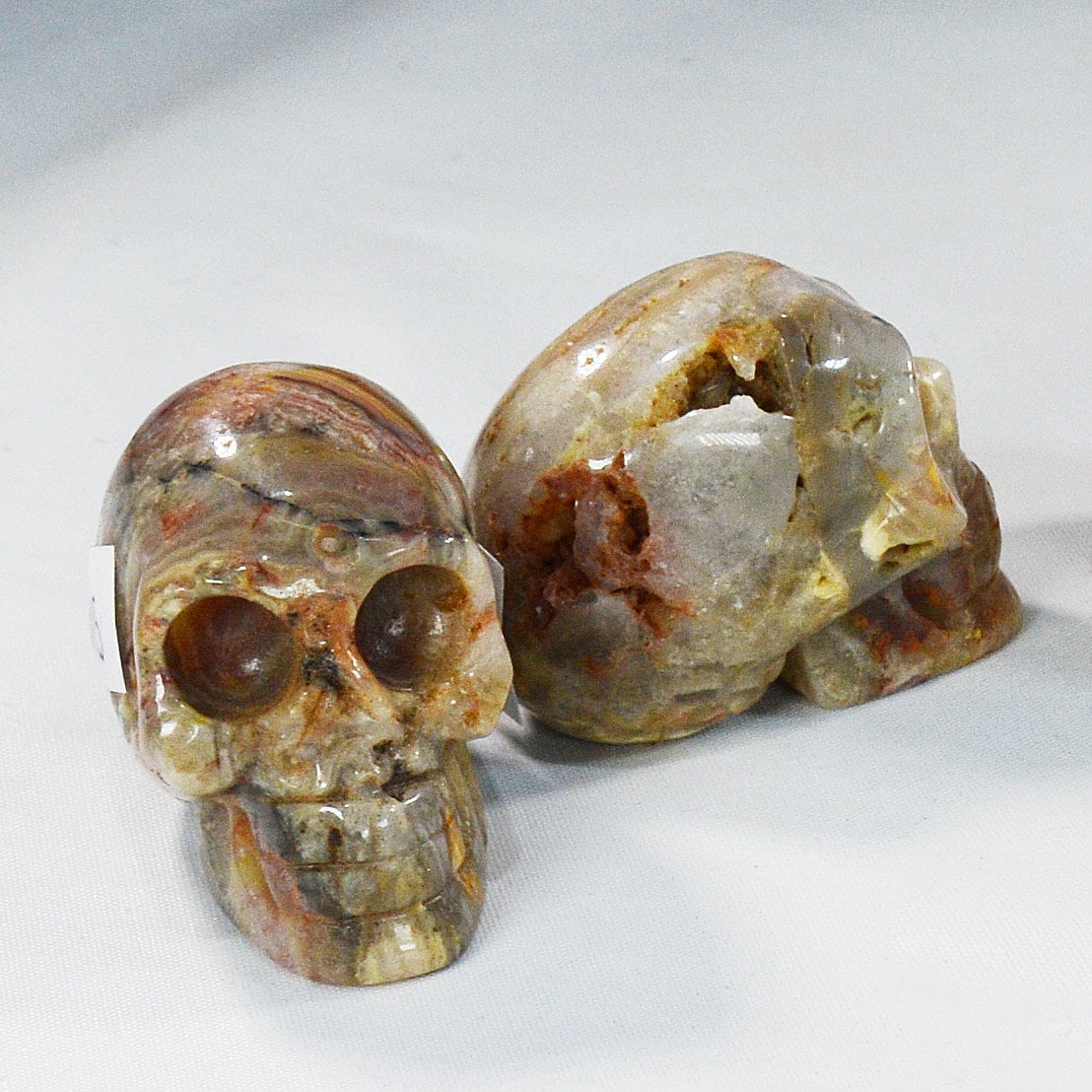Crazy Lace Agate Skull for Decor & Energy Work All Tribes Treasures