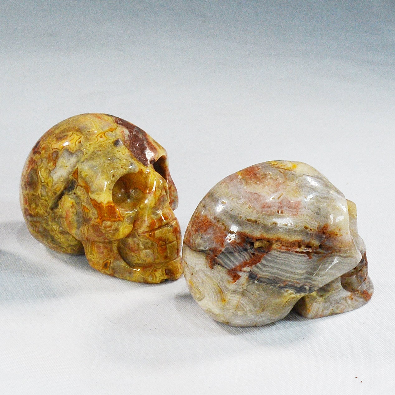 Crazy Lace Agate Skull for Decor & Energy Work All Tribes Treasures