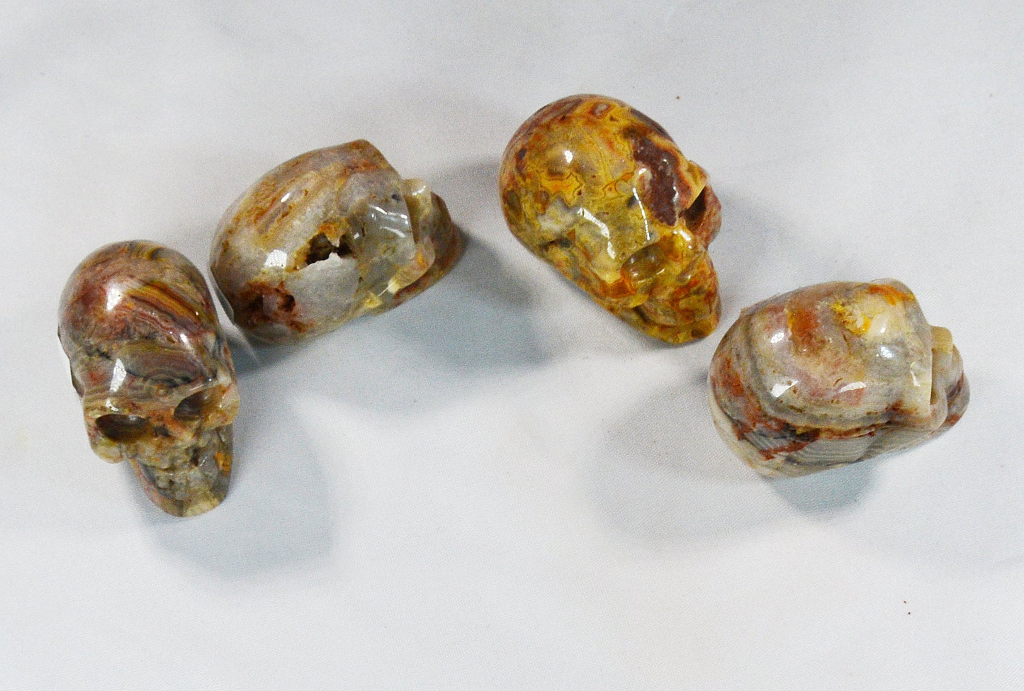 Crazy Lace Agate Skull for Decor & Energy Work All Tribes Treasures