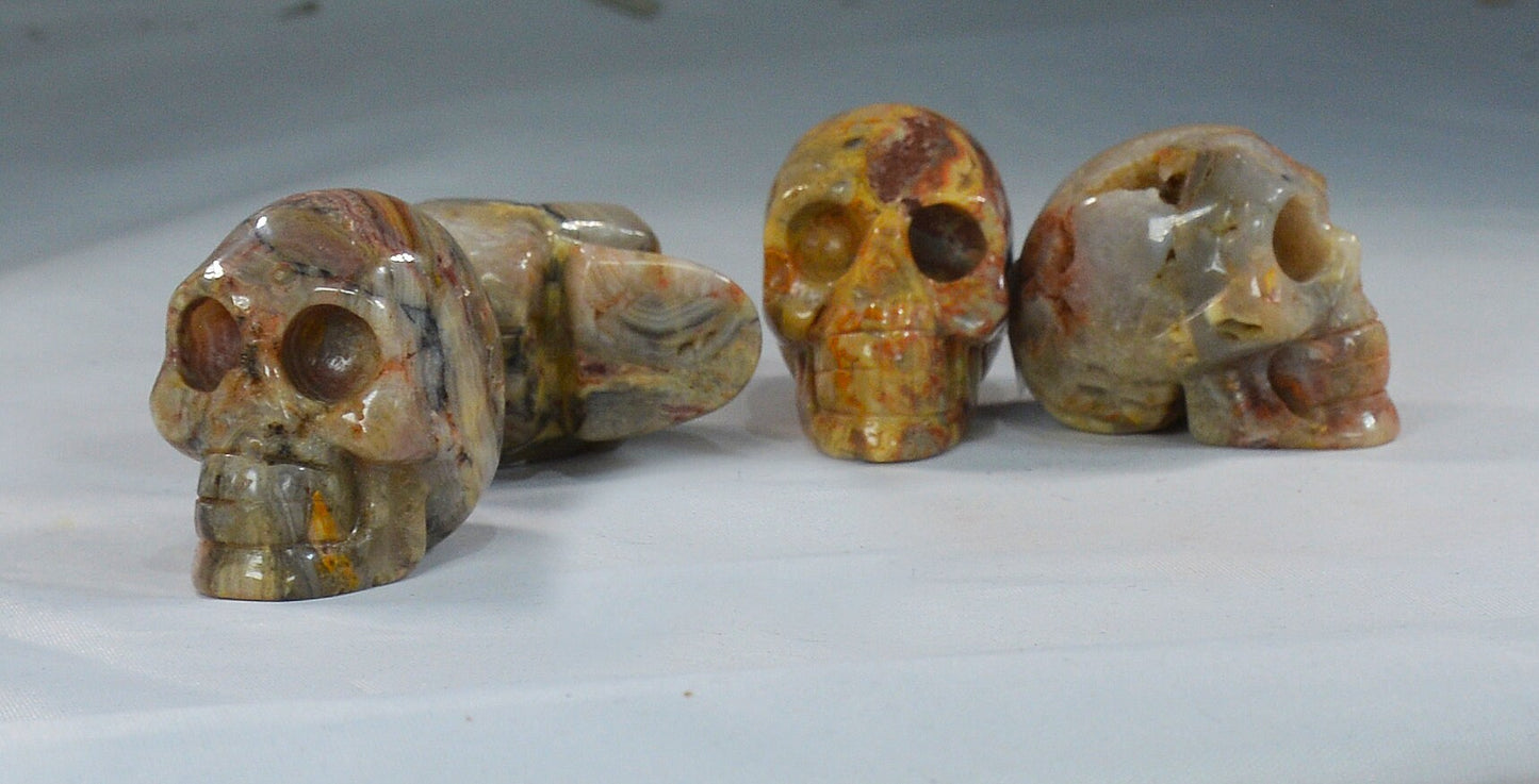 Crazy Lace Agate Skull for Decor & Energy Work All Tribes Treasures