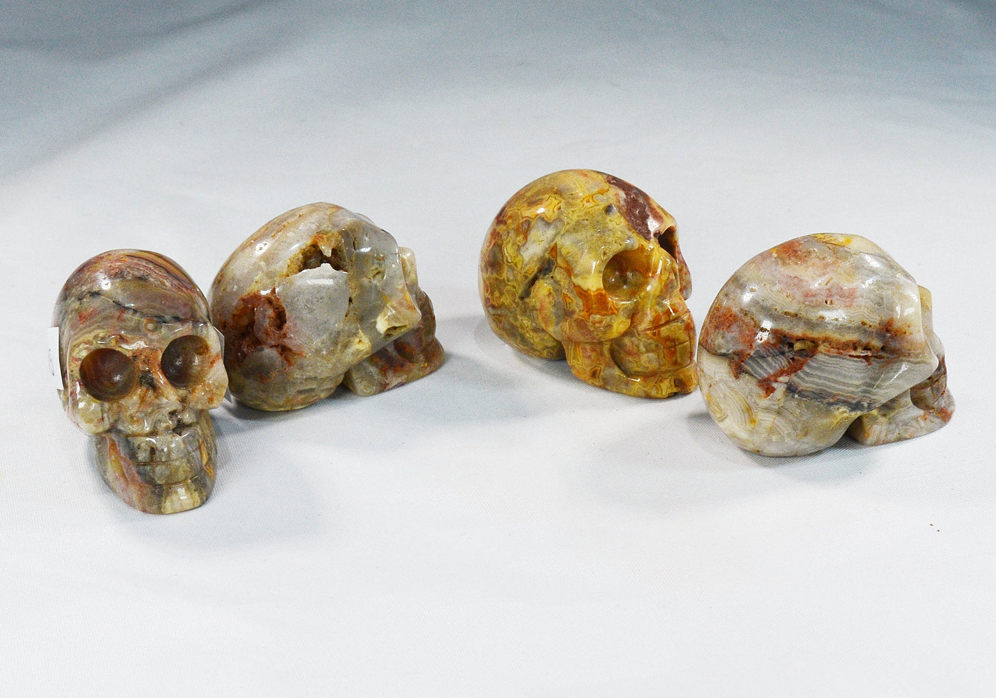 Crazy Lace Agate Skull for Decor & Energy Work All Tribes Treasures