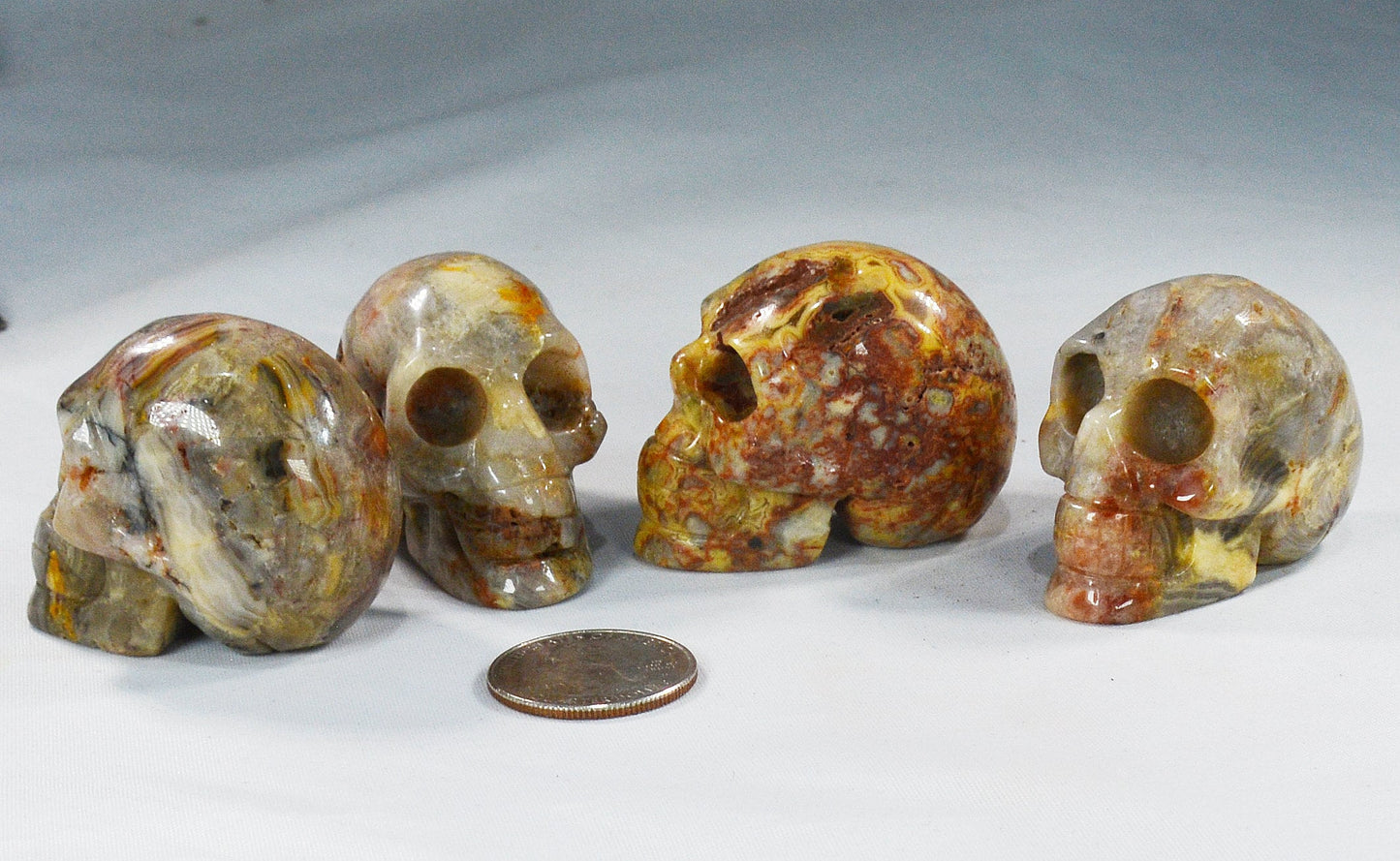 Crazy Lace Agate Skull for Decor & Energy Work All Tribes Treasures