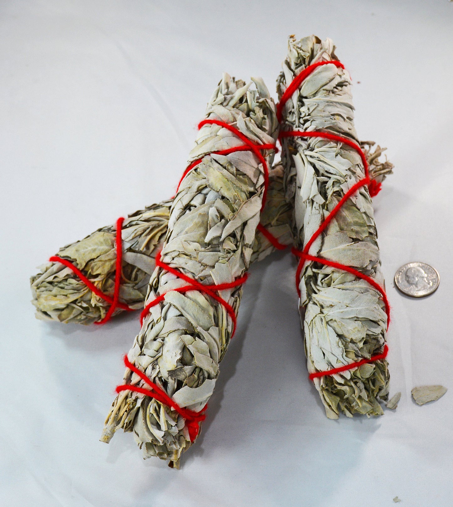 White Sage Smudge Stick Bundled with Red Cotton Yarn All Tribes Treasures