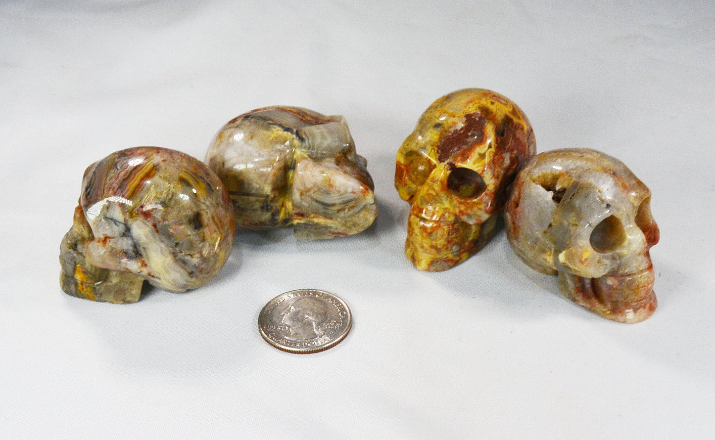 Crazy Lace Agate Skull for Decor & Energy Work All Tribes Treasures