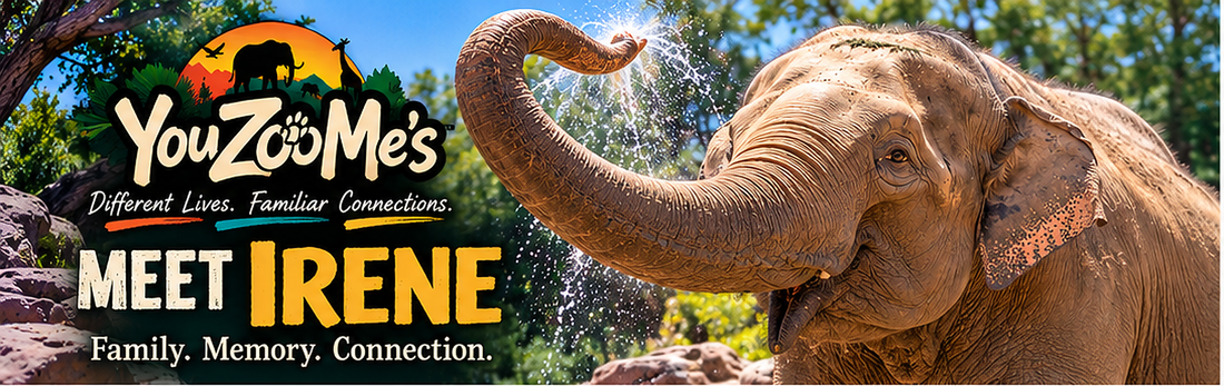 Meet Irene: What a Nearly 60-Year-Old Asian Elephant Can Teach Us About Family, Memory & Connection
