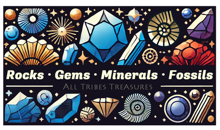 Rocks, Gems, Minerals, and Fossils banner featuring colorful geometric gemstones, ammonite fossils, crystals, and mineral patterns against a starry black background with gold accents.