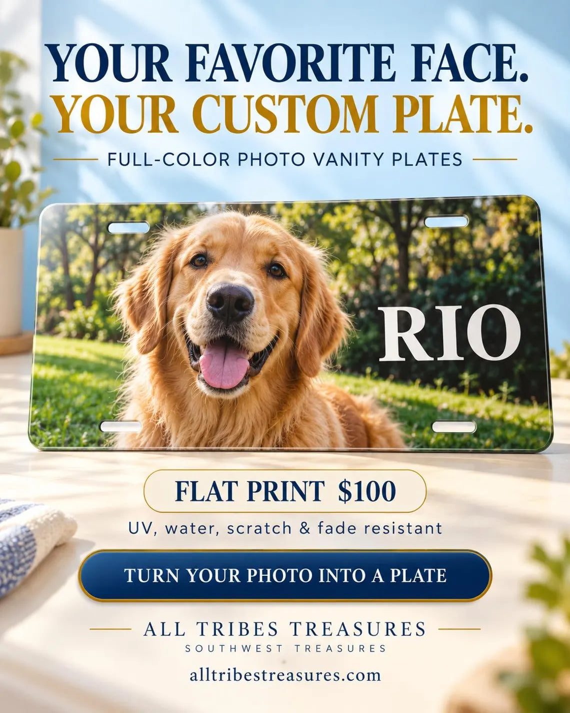 Custom Aluminum License Plate – Personalized 12 × 6 UV Print - 6 Styles/Finishes
