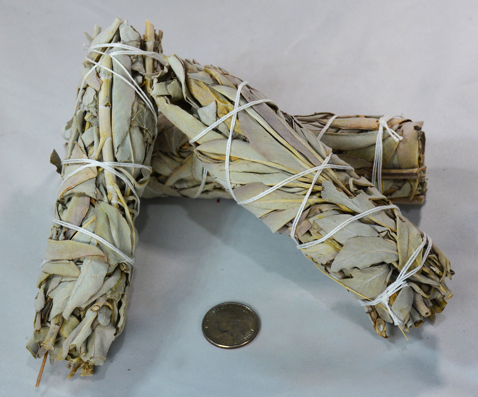 Medium White Sage Smudge Stick - California Incense All Tribes Treasures