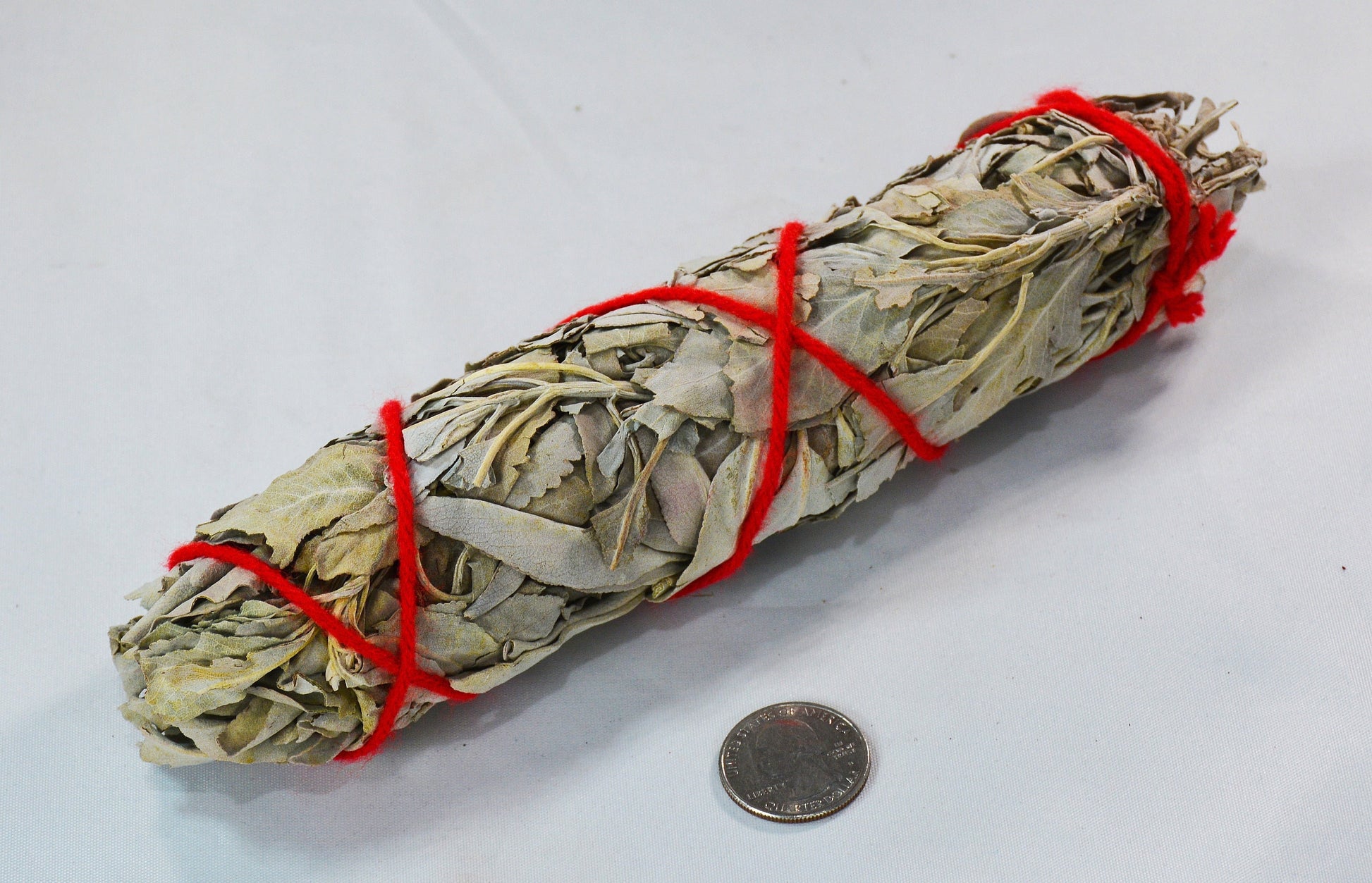 White Sage Smudge Stick Bundled with Red Cotton Yarn All Tribes Treasures