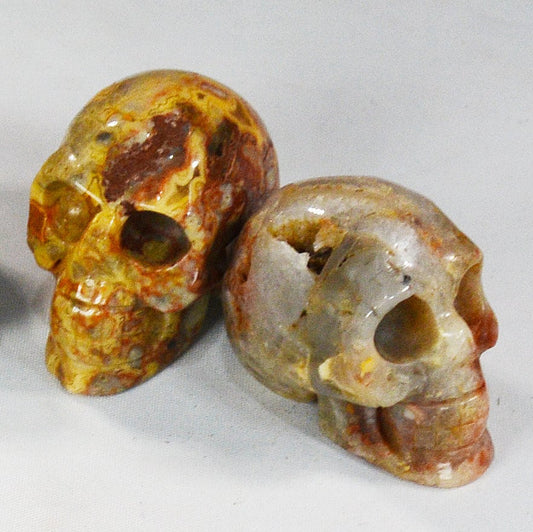 Crazy Lace Agate Skull for Decor & Energy Work All Tribes Treasures