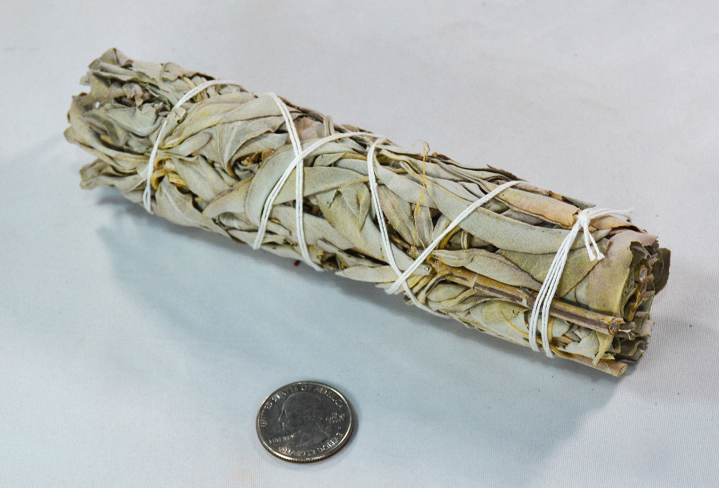 Medium White Sage Smudge Stick - California Incense All Tribes Treasures