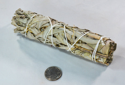 Medium White Sage Smudge Stick - California Incense All Tribes Treasures