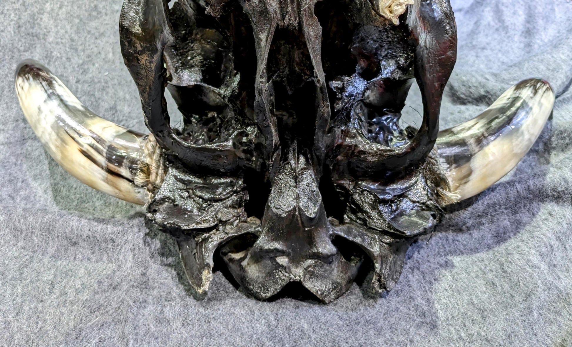 Navajo Handcrafted Bull Skull Decor by Manuel – Symbol of Strength & Heritage All Tribes Treasures