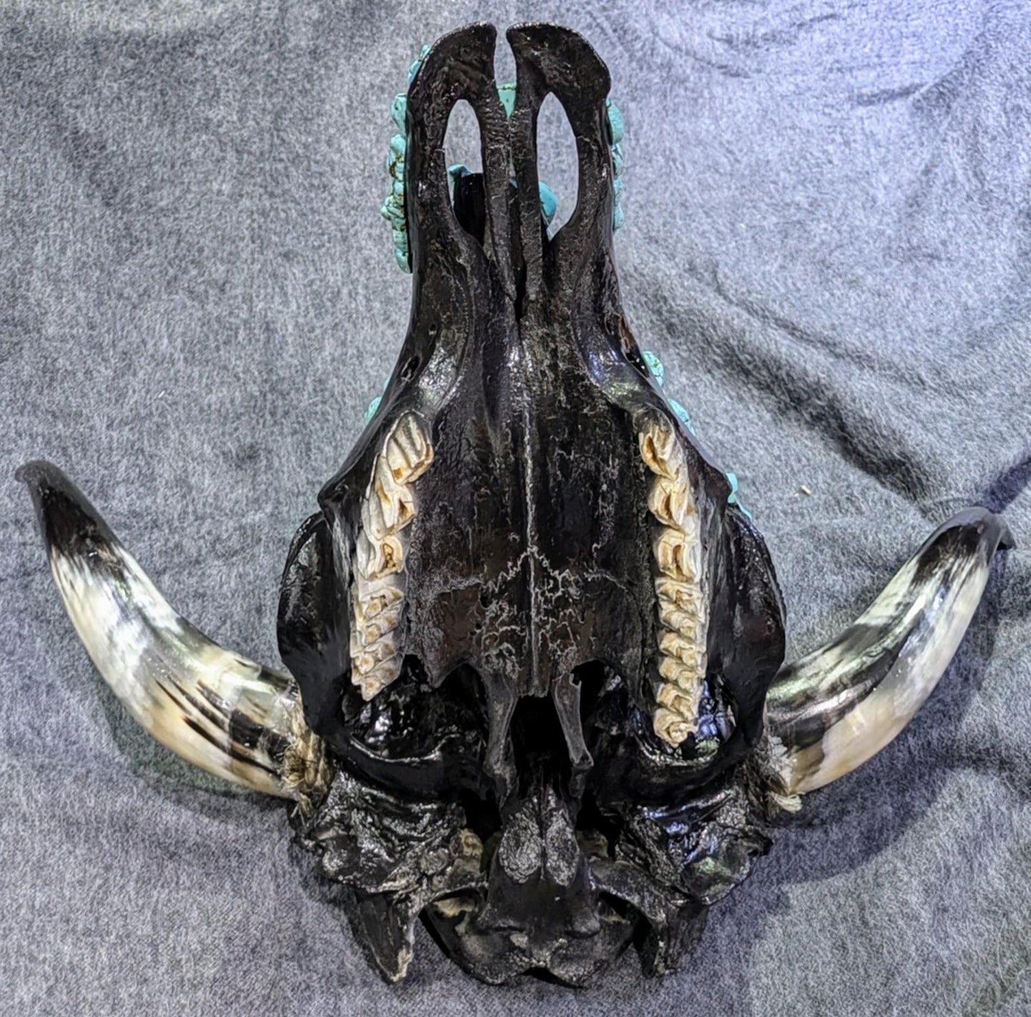 Handcrafted Navajo Bull Skull  Turquoise Magnesite Adornments
