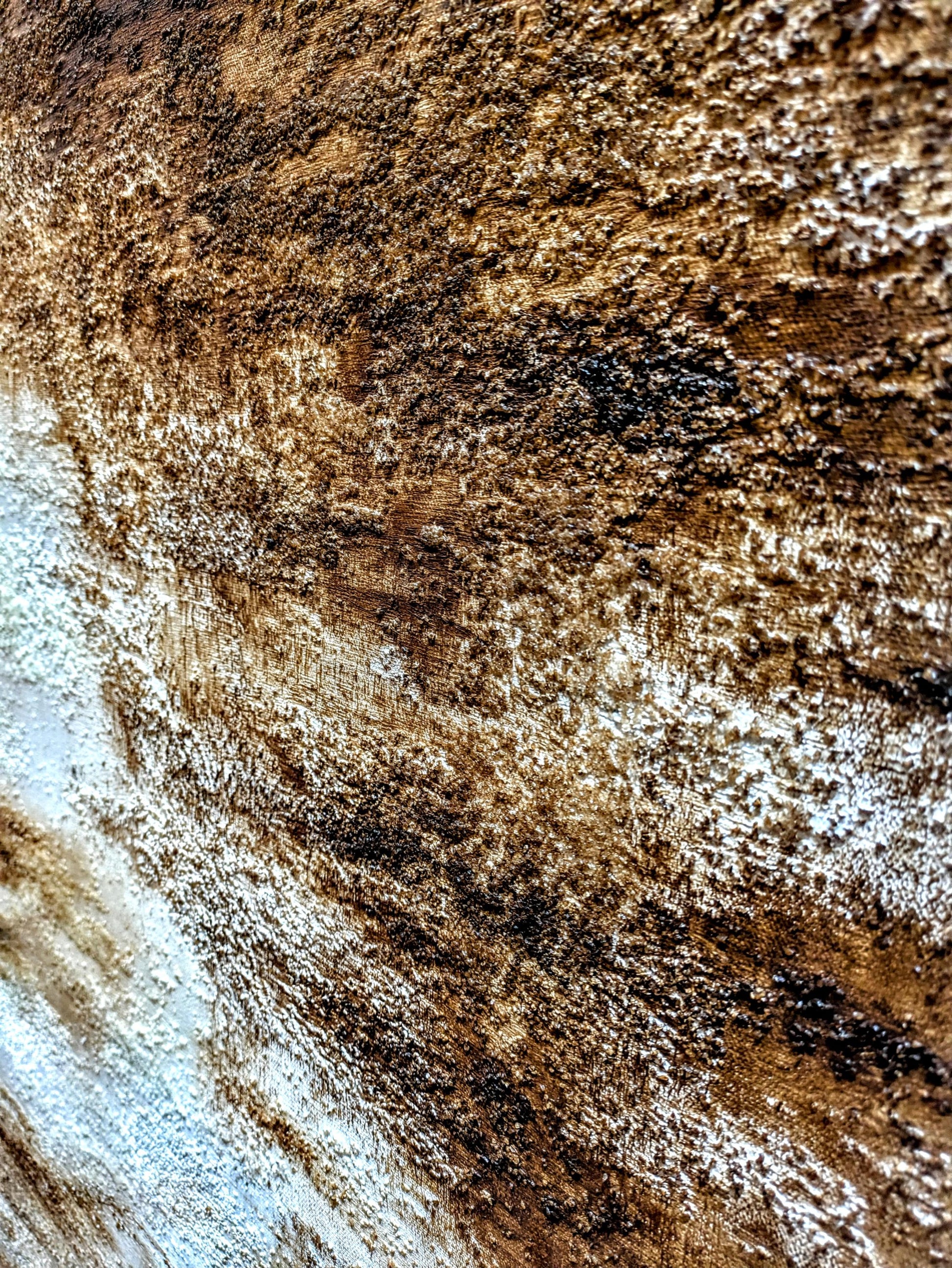 Winter Bosque Acrylic Painting with 3D Crystal Texture All Tribes Treasures